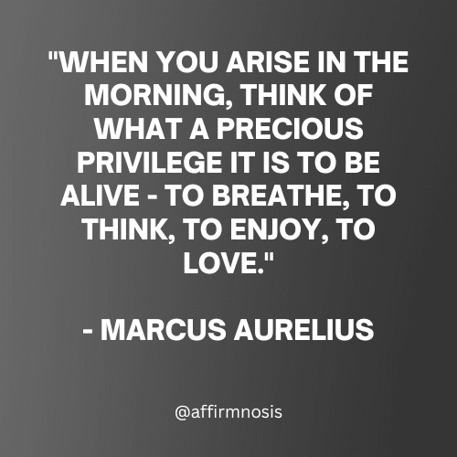 When you arise in the morning, think of what a precious privilege it is to be alive - to breathe, to think, to enjoy, to love. - Marcus Aurelius