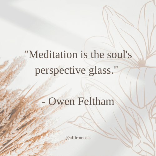 Meditation is the soul's perspective glass. - Owen Feltham