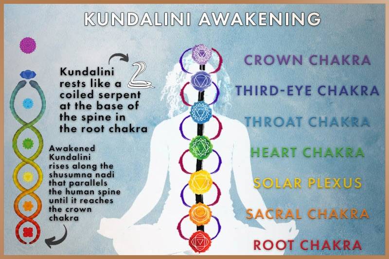 kundalini awakening chakras serpent
