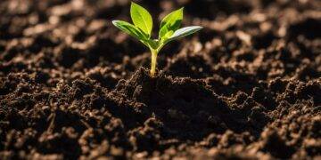 personal growth and development