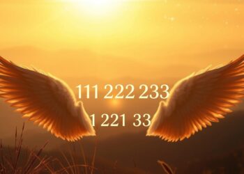 Angel numbers for abundance